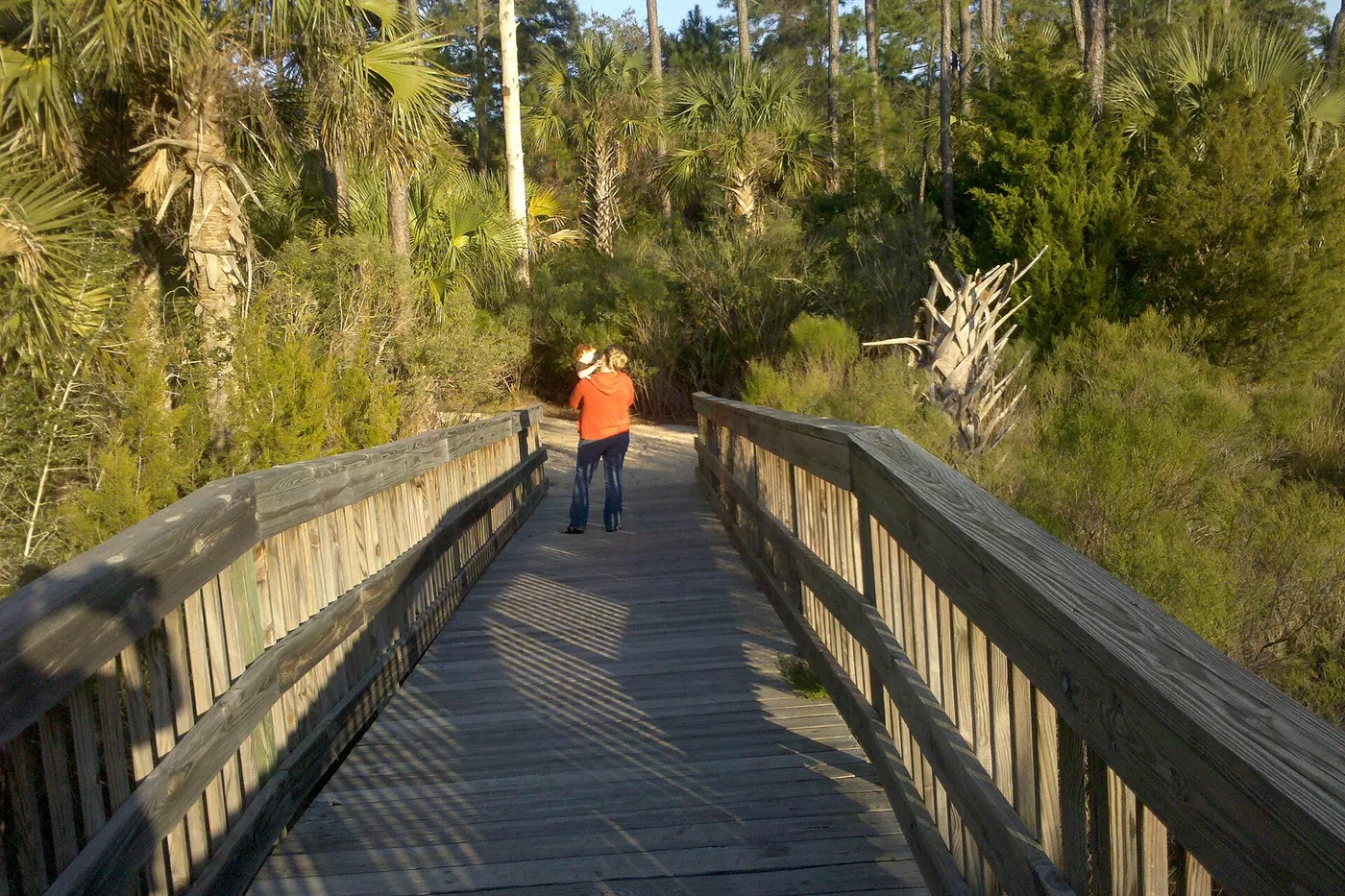 Boardwalk through the marsh at Dutton Island Preserve